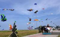 Kite Flyers From Nine Countries Showcase Their Expertise At Mersing International Fly Fest
