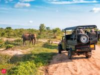Love exploring wildlife? These 7 countries are a must-visit?