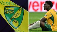 Norwich City facing new Mo Toure exit threat as Trabzonspor 'push hard' for transfer