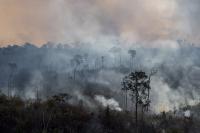 Biofuels in Brazil: Green Growth or Greenwash?