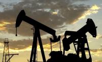 U.S. Defense Department Takes 35% Stake in Venezuela Oil Venture