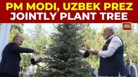 India And Uzbekistan Focus On Environmental Sustainability With Tree Planting Ceremony In Tashkent