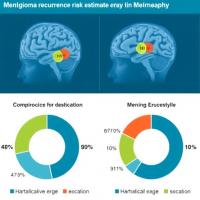 Meningioma recurrence risk estimates vary with era, classification, geography, healthcare