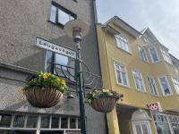 Reykjavík Said Yes, Much of the Country Said No in EU Referendum