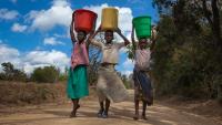 El Niño Threatens Global Harvests as Extreme Heat Forces Farmers to Rethink How They Farm