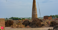 In 2019, RMIT researchers fired clay bricks mixed with treated sewage sludge; a 25% biosolids batch cut firing energy by 48.6% while passing strength tests