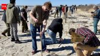 Maine students and residents planted 12,000 dune-grass stalks after two 2024 storms washed away dunes; in 2026, volunteers returned with 20,000 more to rebuild the beach