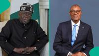 President Tinubu gives fresh appointment to namesake