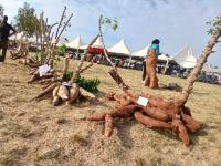 Avenorpedo marks 39th Agbeliza durbar, rallies support to strengthen health system  