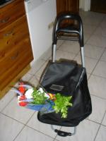 Let Inga Tell You: Sweden stories, Part 1 — Being thwarted by foreign appliances