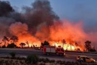 Yemen offers condolences to Algeria over forest fire victims