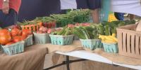 ‘Ground was so dry’: Drought strains South Carolina farm’s crops