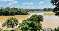 Be open about removing forest reserve protection, says nature group