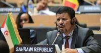 Minister of Foreign Affairs briefs African counterparts on latest developments concerning Sahrawi cause