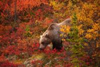 5 U.S. Destinations Where Fall Comes A Little Earlier