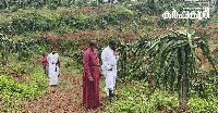 Nature-loving bishop turns land in the heart of Kottayam town into dragon fruit farm