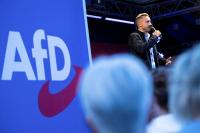 Germany’s Merz says victory for AfD in Saxony-Anhalt would deter foreign investors