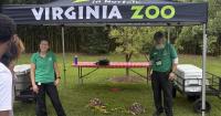 Virginia Zoo celebrates their 125th anniversary!
