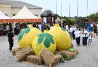 Gala Fig Festival: A celebration of taste, tradition and art