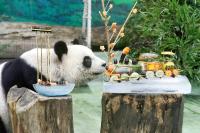 Taipei Zoo celebrates giant panda’s 22nd birthday