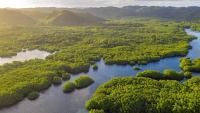 Colombia ranks in the top 10 worldwide for national parks and leads in Latin America on the IUCN Green List