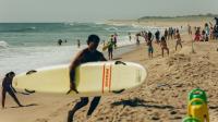 How Cape Cod Became a Destination for Shark Tourism