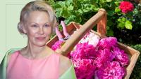 Pamela Anderson's rose harvesting routine has inspired me to add more whimsy to my everyday gardening