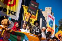 The climate isn't a hot topic for Democrats in this year's campaigns