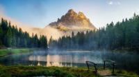 Forests didn't fare well during an ancient global warming event, offering a 'cautionary' tale about today's climate change