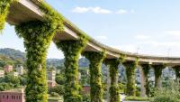 Mexico turns major highway into vertical garden