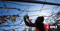 'Not here for a holiday': What standards RSE workers should expect