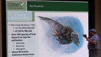 Mammoth Cave welcomes renowned bat expert for annual Bat Day