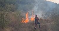 Wildfire threatens homes in northern Albania