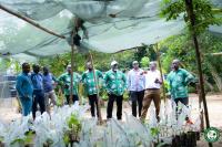 TCDA turns to CRIG research to boost disease-resistant cashew and shea varieties