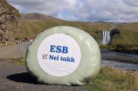 Iceland Votes to Reject the EU as Fisheries Worry Prevails