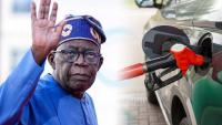 Tinubu on European vacation while Nigerians are struggling to feed, battling higher fuel costs: Atiku