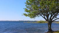 Florida landowner withdraws bid to annex 1,700 acres near Lake Jackson after backlash