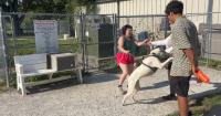 Volunteers outnumber dogs as Central Missouri Humane Society deep-cleans Sunday