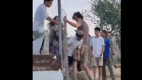 British Activist Held on Assault Suspicion; FPA Condemns Attack on NBC Crew