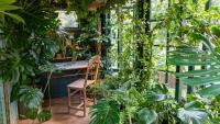 Best Houseplants For Biophilic Design – Bring Lush Greenery To Your Home So You Can Feel Connected To Nature From The Comfort Of Your Sofa
