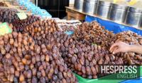 Zagora date growers forecast harvest increase of up to 15%