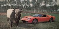 Lamborghini’s Big Books of Bulls