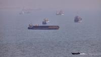 US forces strike Iranian rocket launchers in Strait of Hormuz as IRGC warns of 'retaliatory response'