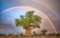 The Africa safari opportunity advisors are missing
