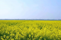 High-tech hub aids farm growth in member states