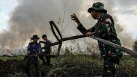 Kalimantan Fires: Indonesian Military Leads Ecosystem Restoration