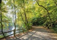 The Friends of the Wissahickon will host a weekly hike series along its scenic trails into November