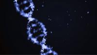 Scientists Found Evidence of Two ‘Ghost’ Human Ancestors Hiding in Our DNA