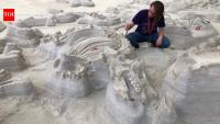 12 million years ago, tiny dog-like animals crossed Nebraska as volcanic ash buried hundreds of animals; scientists have now found their footprints