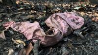 Scientists Buried 2,000 Pairs of Underwear to Test the Health of Soil. Here’s What They Learned.